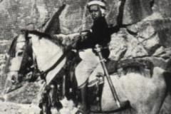 السلطان تيمور