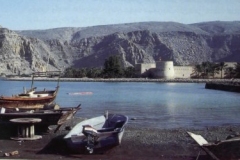 قوارب الصيد