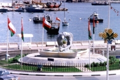 دوار السمكة