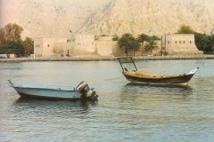 قوارب صيد