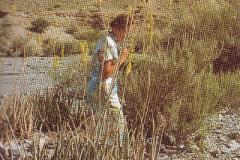 مناطق سياحية