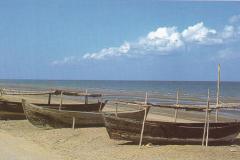 شاطئ العذيبة