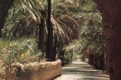 مناطق سياحية