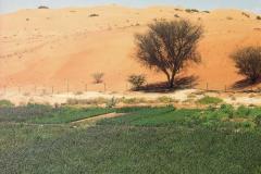 مناطق سياحية