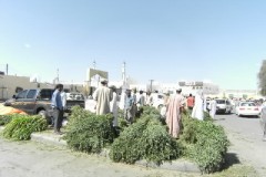 منظر