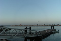 DSCF1938-001