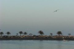 DSCF1943-001