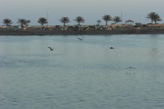 DSCF1946-001