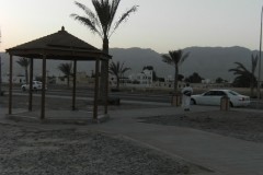 DSCF1954-001