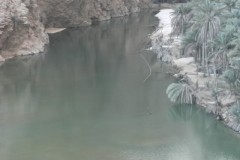 DSCF1311-002_1