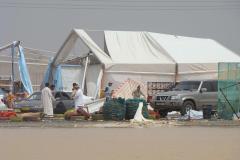 ثلوج البريمي 7
