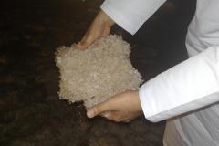 ثلوج البريمي4