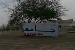 صور العاصفه ع البريمي 12
