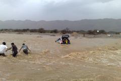 صور عن منخض 2009 1