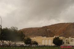 مسقط وسداب .،. والوادي الكبير3