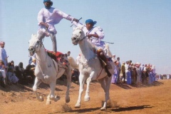 فرسان