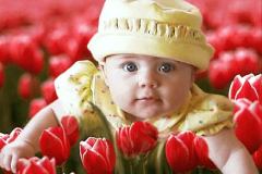 صور متنوعة15