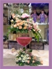 صور متنوعة2