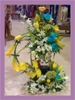 صور متنوعة3