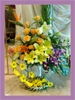 صور متنوعة9