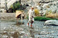 صور متنوعة5