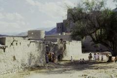 صور متنوعة9