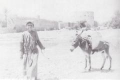 صور متنوعة10