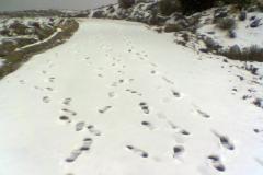 صور متنوعة14