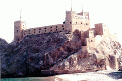 صور متنوعة8
