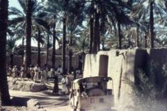 صور متنوعة5