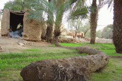 صور متنوعة7