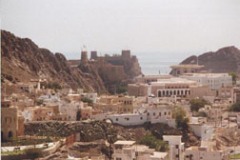 صور متنوعة11