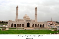 صور متنوعة14