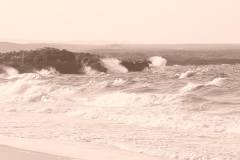 صور متنوعة2