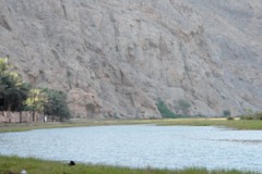 صور متنوعة12