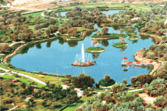 صور متنوعة13