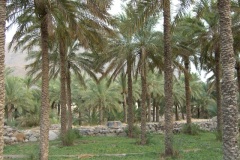 صور متنوعة2