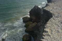 صور متنوعة5