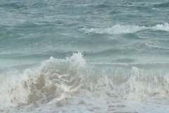 صور متنوعة8