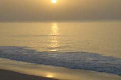 صور متنوعة10