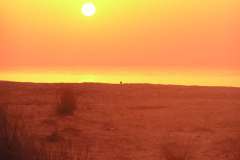 صور متنوعة5