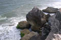 صور متنوعة8