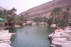 صور متنوعة11