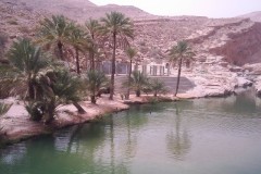 صور متنوعة12
