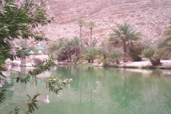 صور متنوعة13