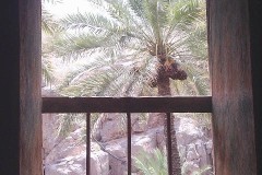 صور متنوعة14