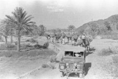 صور متنوعة3