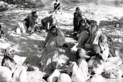صور متنوعة6