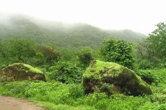 صور متنوعة9