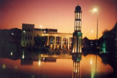 صور متنوعة14